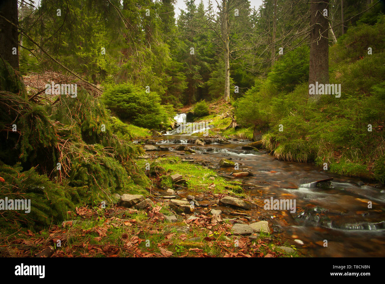 Klodzko Tal, Polen Stockfoto