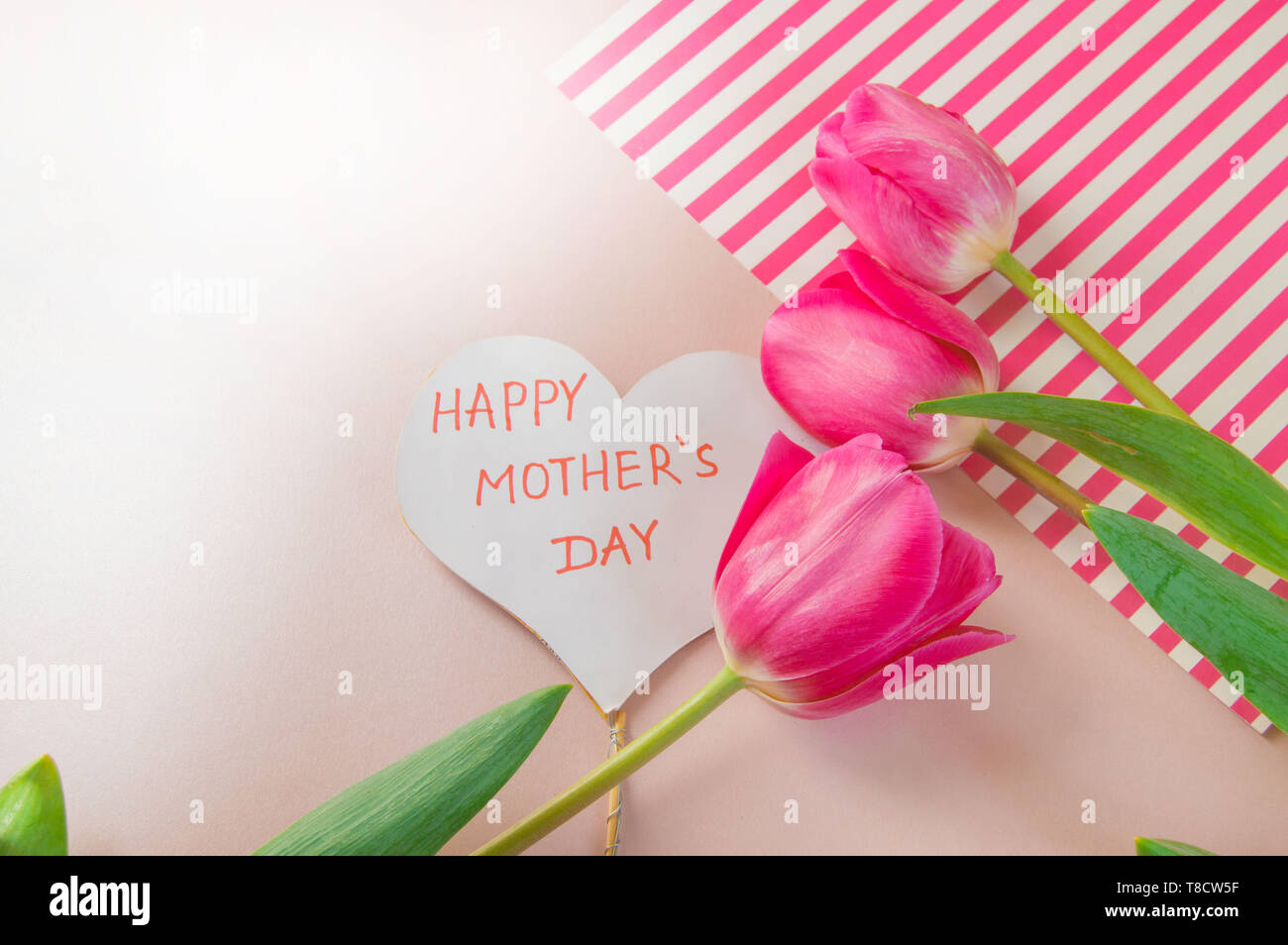 Flach Komposition mit Blumen und Herz für Muttertag, Gruß für Frauen. Rote Tulpen auf rosa Hintergrund Stockfoto