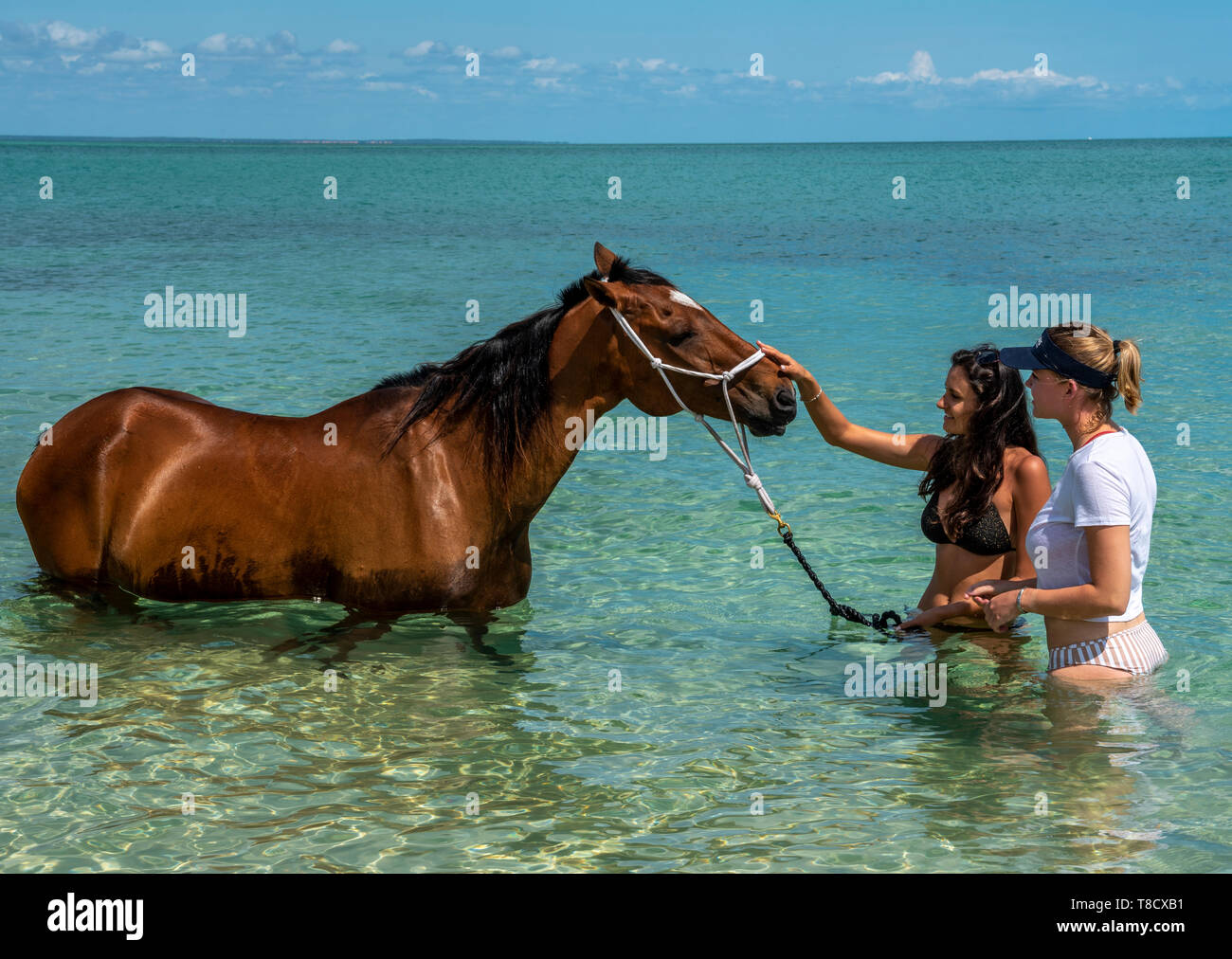 Zwei junge Damen im Meer Wasser stehend mit einem Pferd Stockfoto