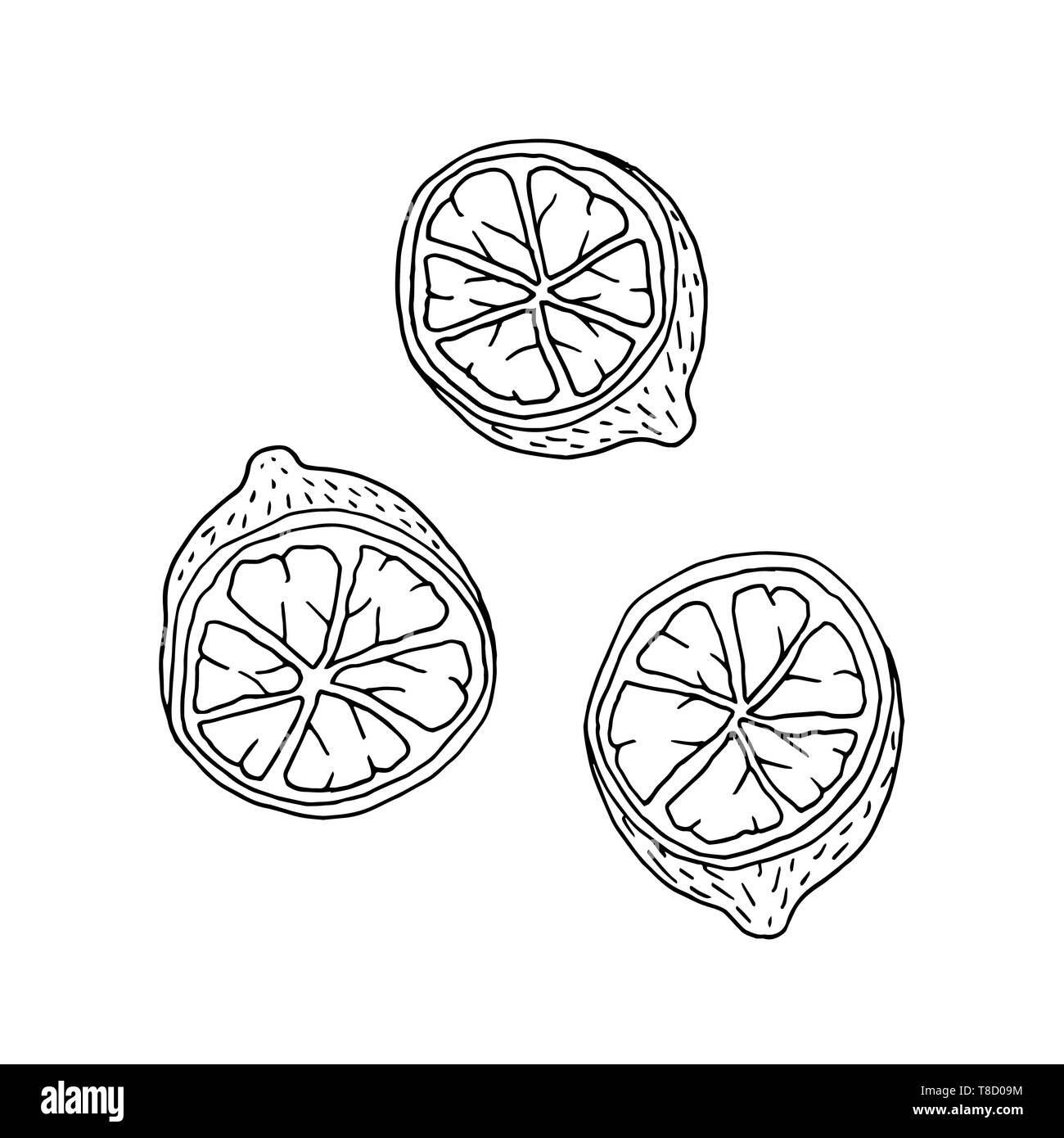 Doodle Stil oder Cartoon Zitrone Frucht mit Kontur. Isolierte Vector Illustration Stock Vektor