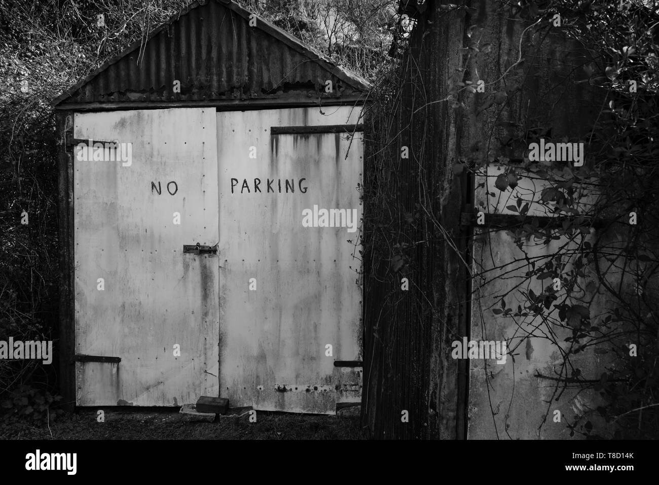Black & White: Verfallener Wellblechschuppen mit „No Parking“ auf dem Eingang, Llangennith, Gower Peninsula, Wales. Stockfoto