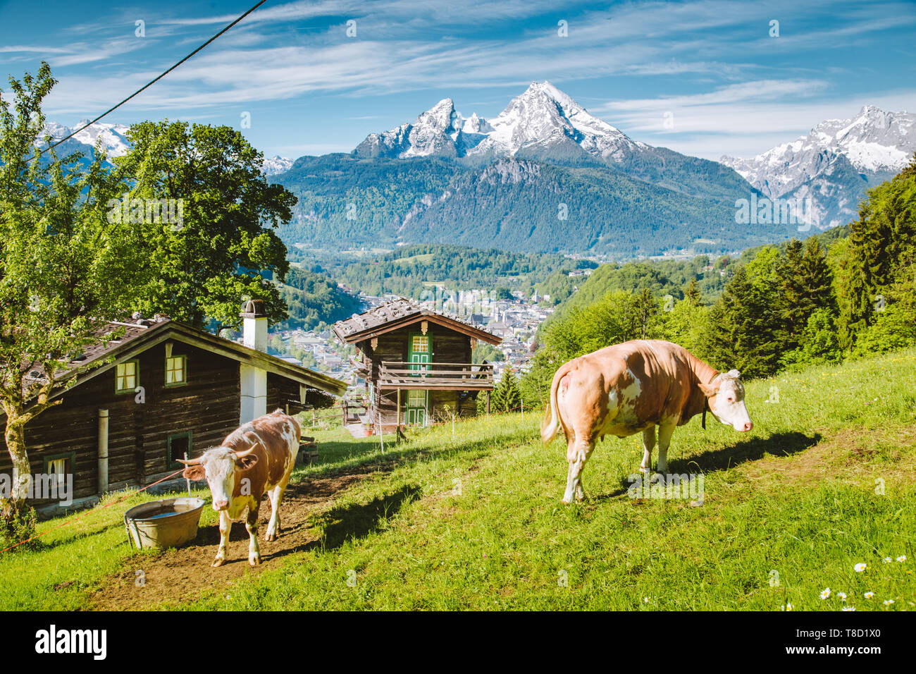 Schöne Panoramasicht auf idyllischen Berglandschaft mit traditionellen Mountain Chalets und Kuh weiden auf grünen Wiesen an einem schönen sonnigen Tag mit Bl Stockfoto