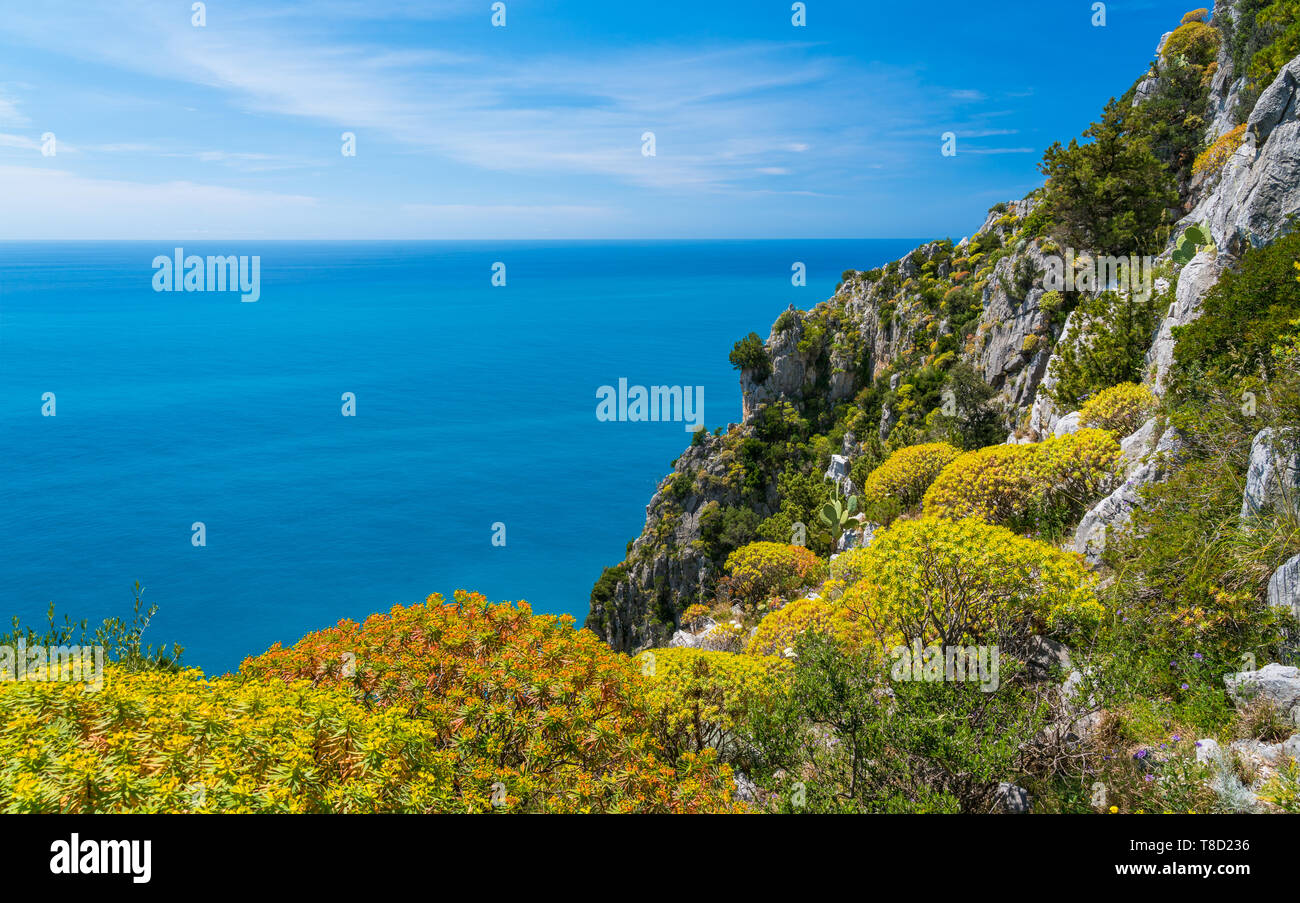 Malerischen mediterranen Seenlandschaft mit Klippen in Palinuro, Cilento, Kampanien, Süditalien. Stockfoto