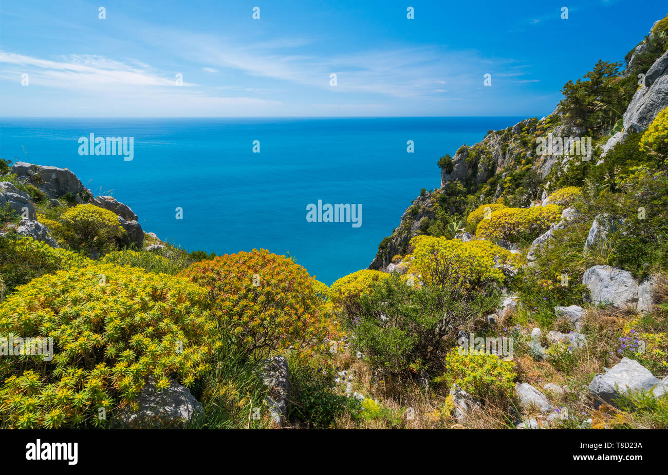 Malerischen mediterranen Seenlandschaft mit Klippen in Palinuro, Cilento, Kampanien, Süditalien. Stockfoto