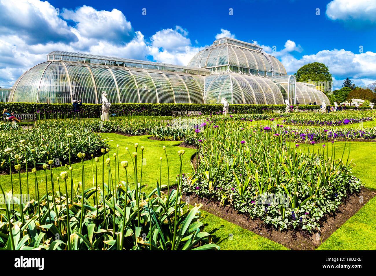 Palmenhaus in Kew Gardens, London, UK Stockfoto