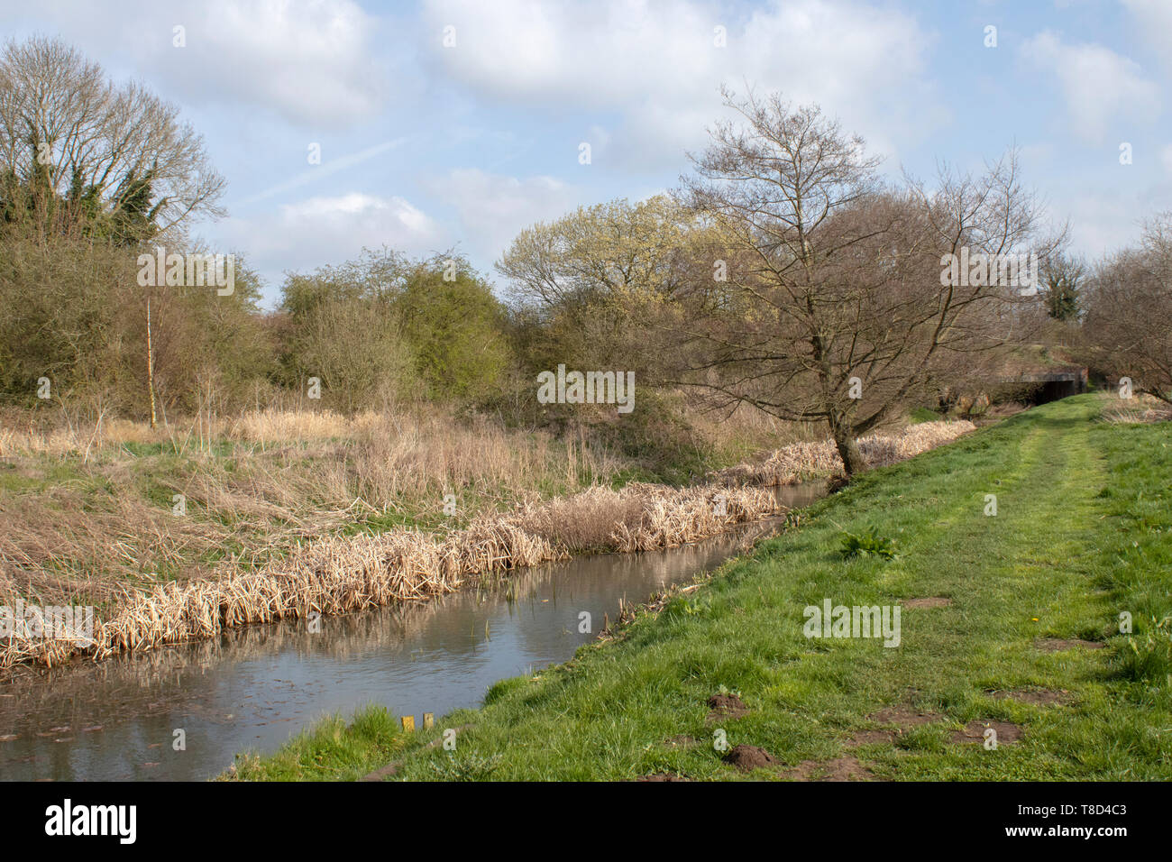 Fußweg entlang der neuen Reach, Halesworth Millennium Grün, Suffolk, England Stockfoto