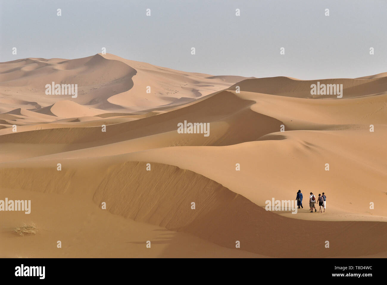 Touristische Gruppe unter der Leitung von lokalen Tuareg, Wandern in der Wüste Erg Chebbi in Marokko Stockfoto