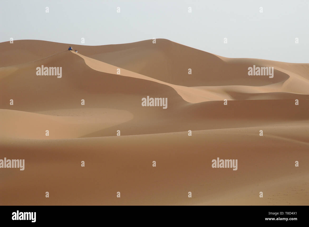 Touristische Gruppe oben auf einer Düne in der Wüste Erg Chebbi in Marokko Stockfoto
