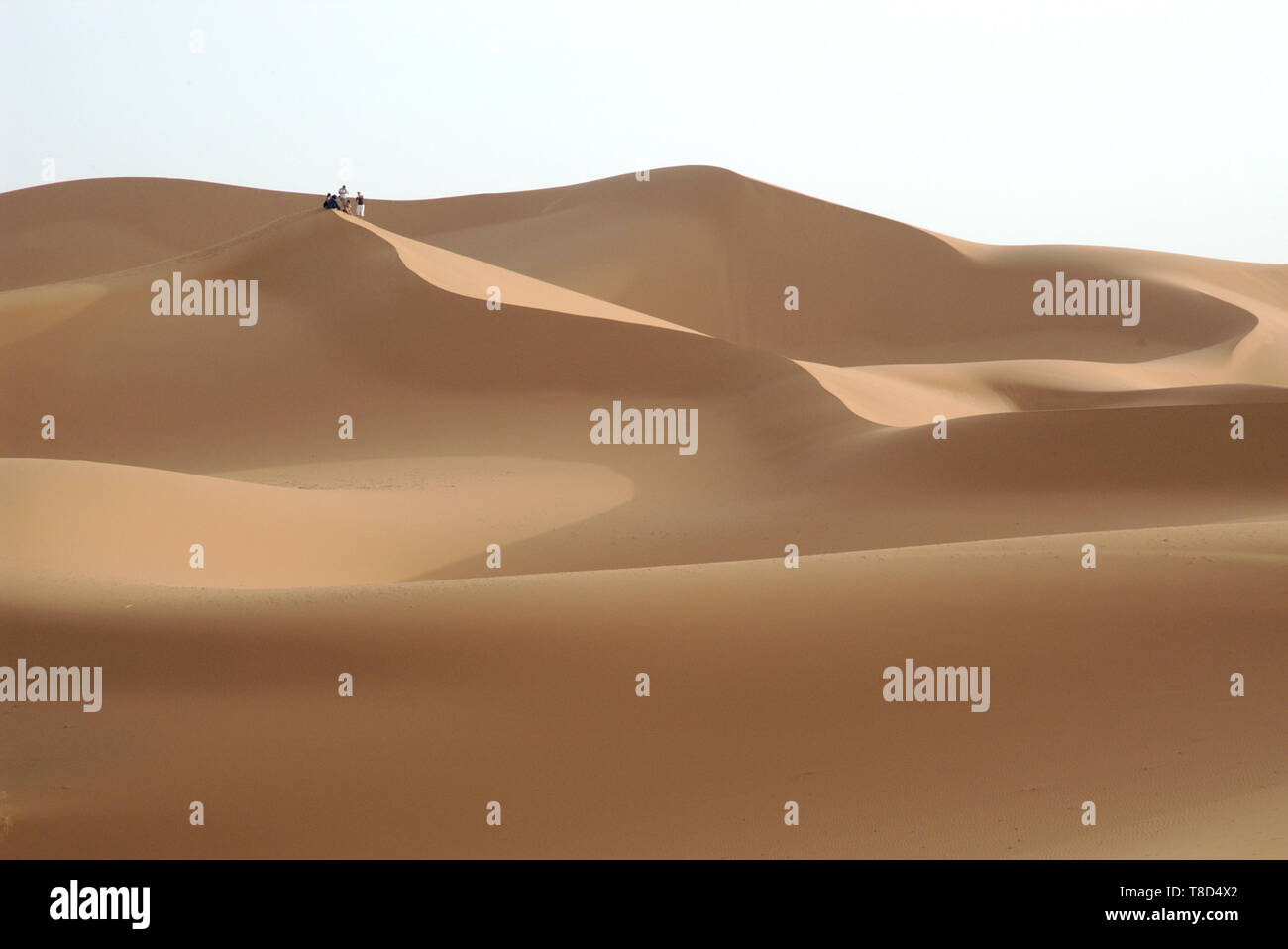 Touristische Gruppe oben auf einer Düne in der Wüste Erg Chebbi in Marokko Stockfoto