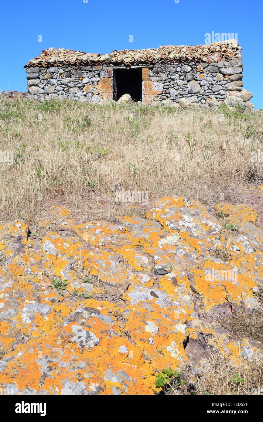 Spanien, Kanarische Inseln, Teneriffa, Provinz Santa Cruz de Tenerife, Teno ländlichen Park, Teno Alto, Shepherd's Hütte Stockfoto