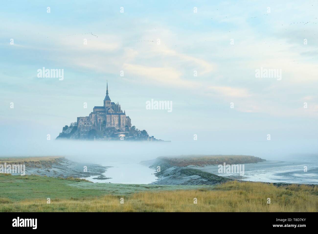Frankreich, Manche, der Mont-Saint-Michel, Blick auf die Insel und die Abtei bei Sonnenaufgang von der Mündung des Couesnon Fluss Stockfoto