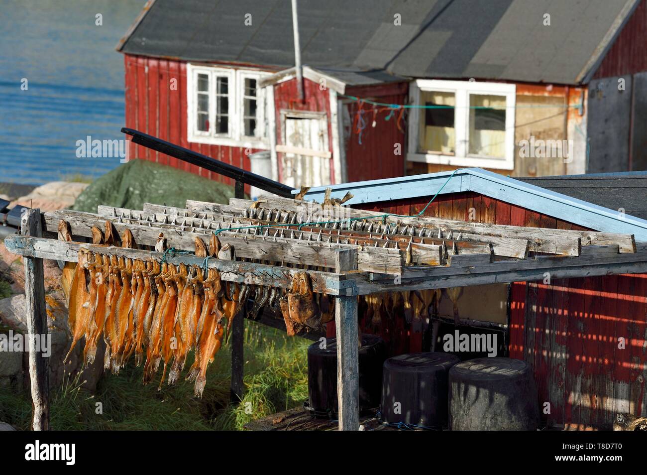 Grönland, Westküste, Diskobucht, Ilulissat, cod-Trockner Stockfoto