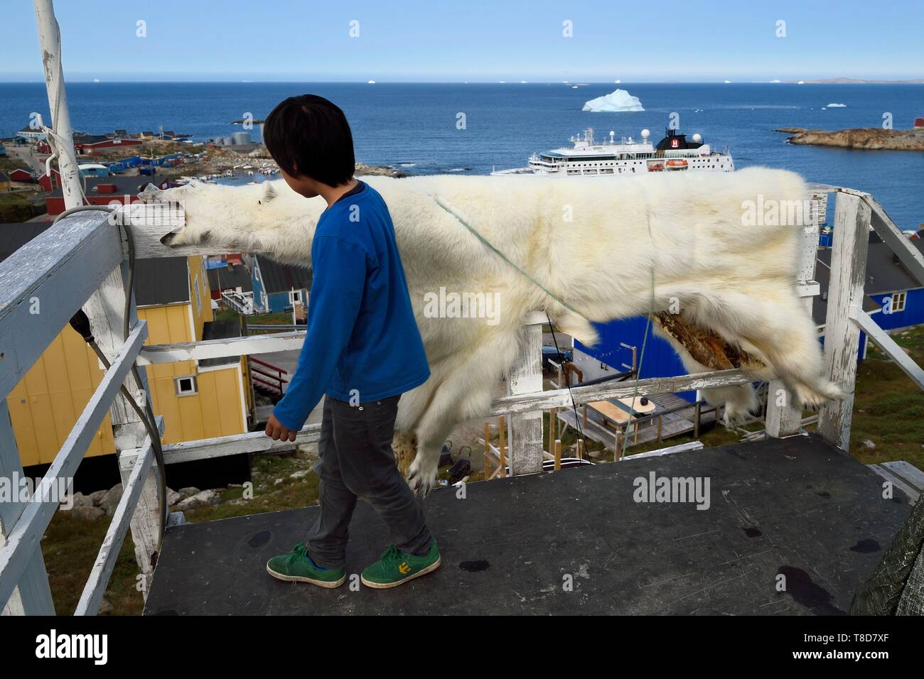 Grönland, Westküste, Baffin Bay, Upernavik, junge Inuit Mann mit einer Haut eines Eisbären, der von seinem Vater gejagt Stockfoto