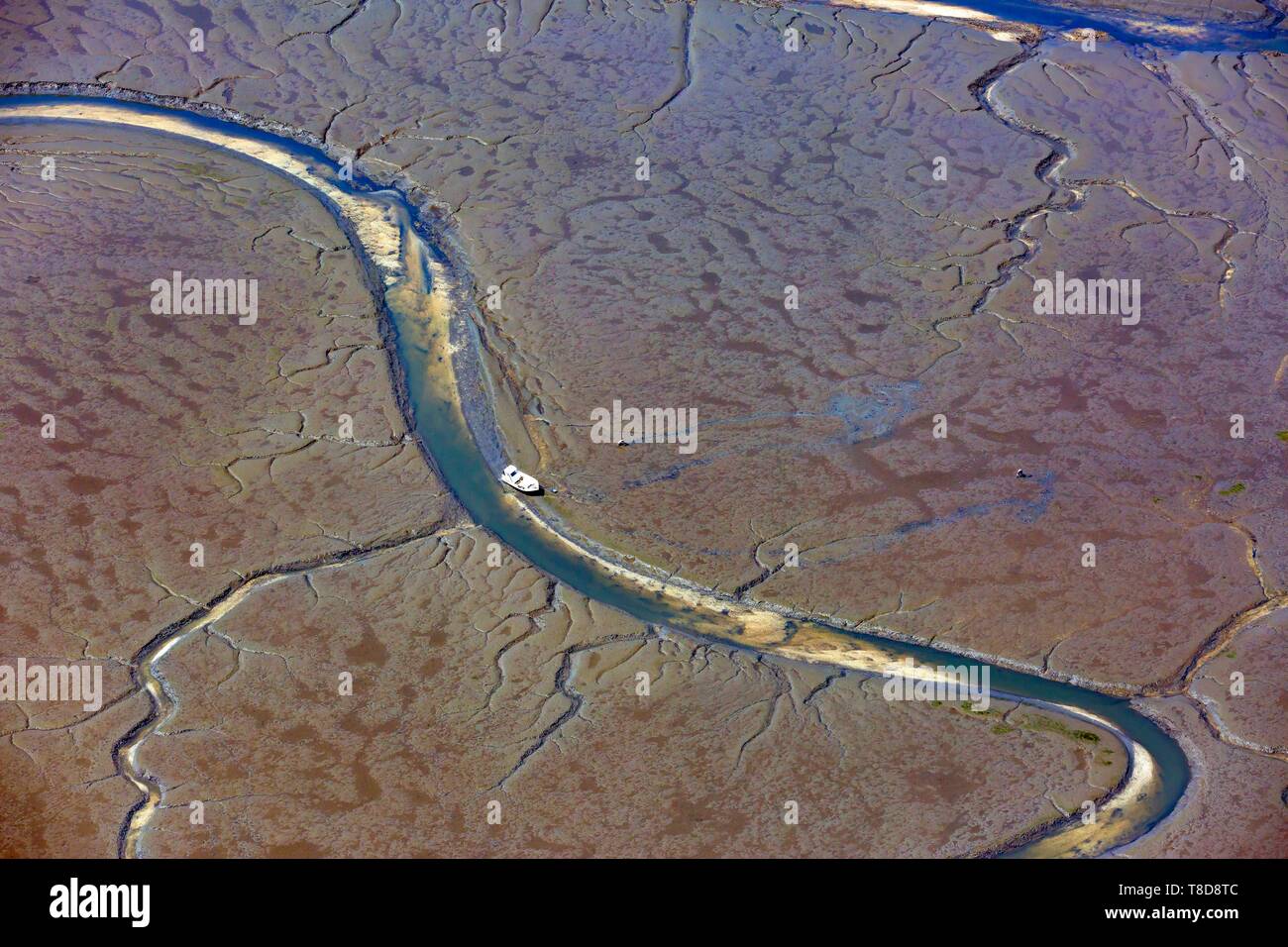 Frankreich, Gironde, Bassin d'Arcachon bei Ebbe vom Himmel aus gesehen Stockfoto