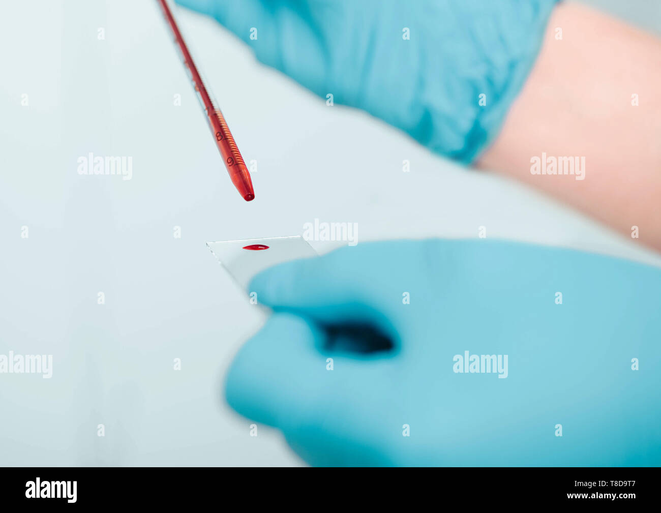 Labor Wissenschaftler die Blutprobe auf Folie, close-up. Blut Forschung Stockfoto