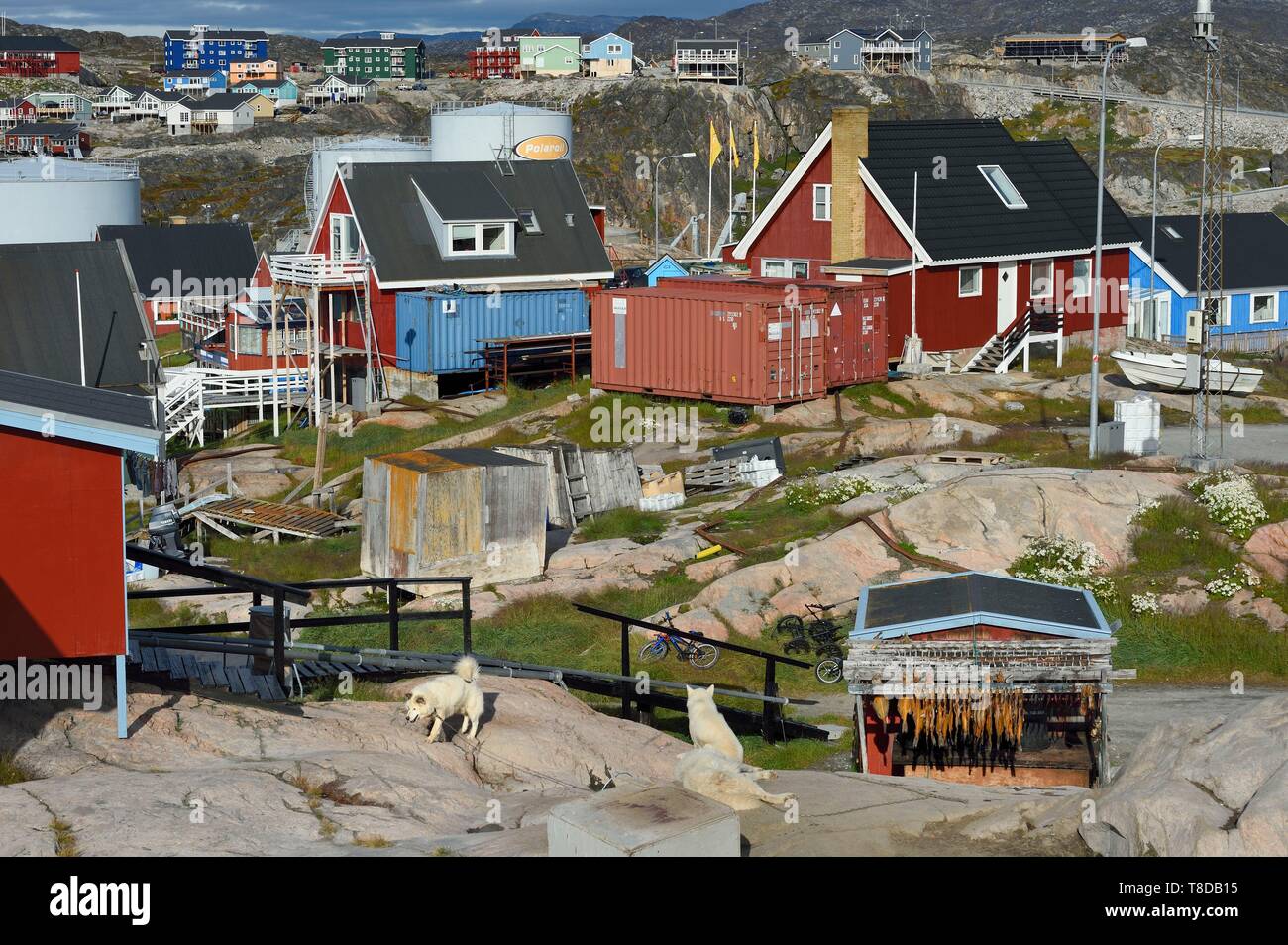 Grönland, Westküste, Diskobucht, Ilulissat, sehr vielfältigen Lebensraum, Schlittenhunde und cod-Trockner Stockfoto