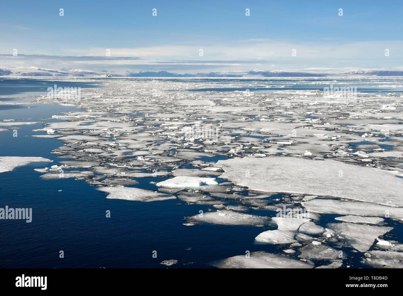 Grönland, Nordwestküste, Smith Sound im Norden von Baffin Bay, abgebrochene Teile des Arktischen Meereises und der kanadischen Küste von Ellesmere Island im Hintergrund Stockfoto