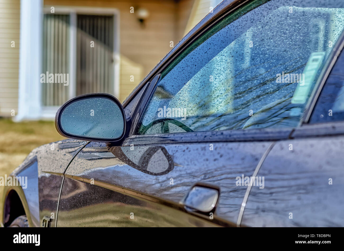 Links Profil eines 2001 Ford Mustang GT Coupé. Regenwasser deckt der Körper des Ford Mustang nach einem Sommer Sturm. Stockfoto