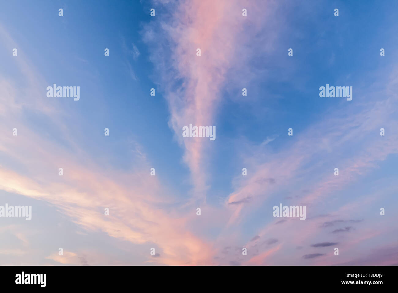 Rosa Wolke Linien und blauer Himmel bei Sonnenuntergang. Cloudscape Ansicht der natürlichen Himmel Muster Stockfoto