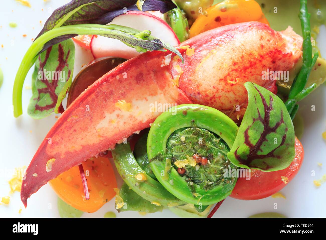Kanada, New Brunswick, Acadie, Moncton, Chef Pierre A. Richard's Little Louis Restaurant, pochiertem Hummer und fiddlehead Salat mit Avocado und Rote Bete Stockfoto