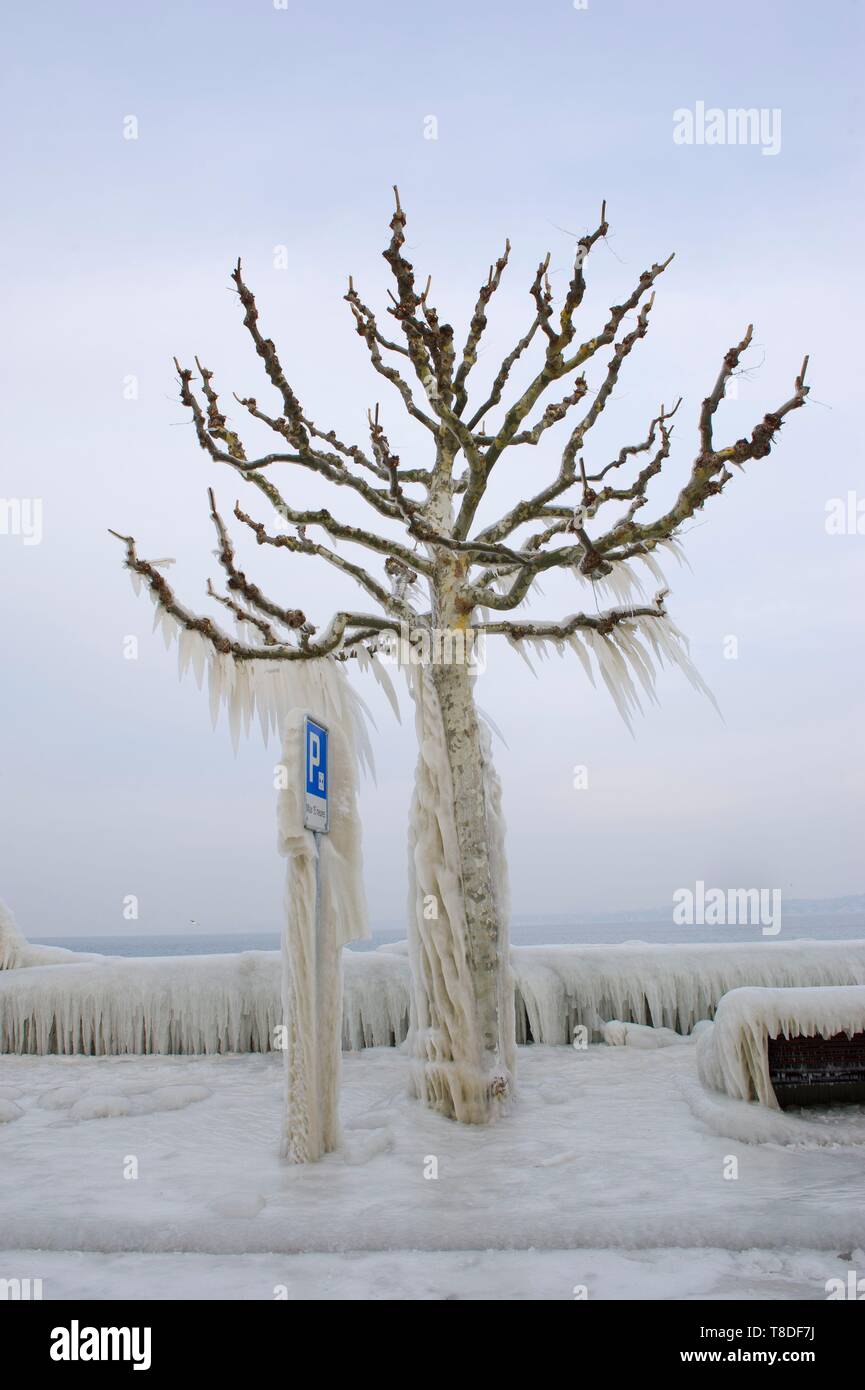 Schweiz, Kanton Waadt, Versoix, die Kanten des Genfer Sees bedeckt mit Eis in sehr kaltem Wind, heben Spray Stockfoto