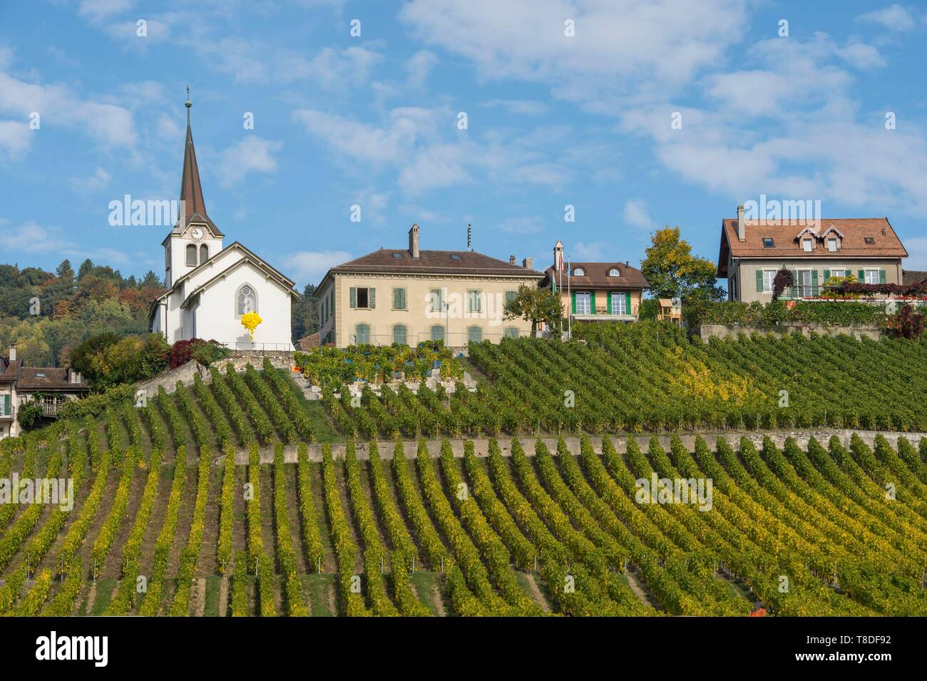 Schweiz, Kanton Waadt, Nyon, Weinberg und Dorf FÚchy Stockfoto