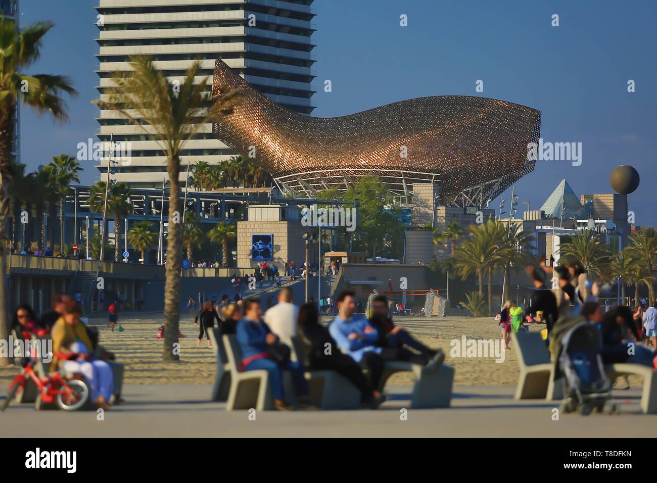Spanien, Katalonien, Barcelona, &#x200b;&#x200b; Peix oder Ballena (Wal) Skulptur des Aircare-servcie Architekt Frank Owen Gehry von der Promenade aus gesehen Stockfoto