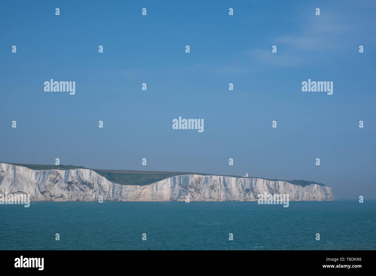 Die weißen Klippen von Dover, fotografiert auf einer klaren Frühlingstag: kreidefelsen an der Küste von Kent in der Nähe der Hafen von Dover. Stockfoto