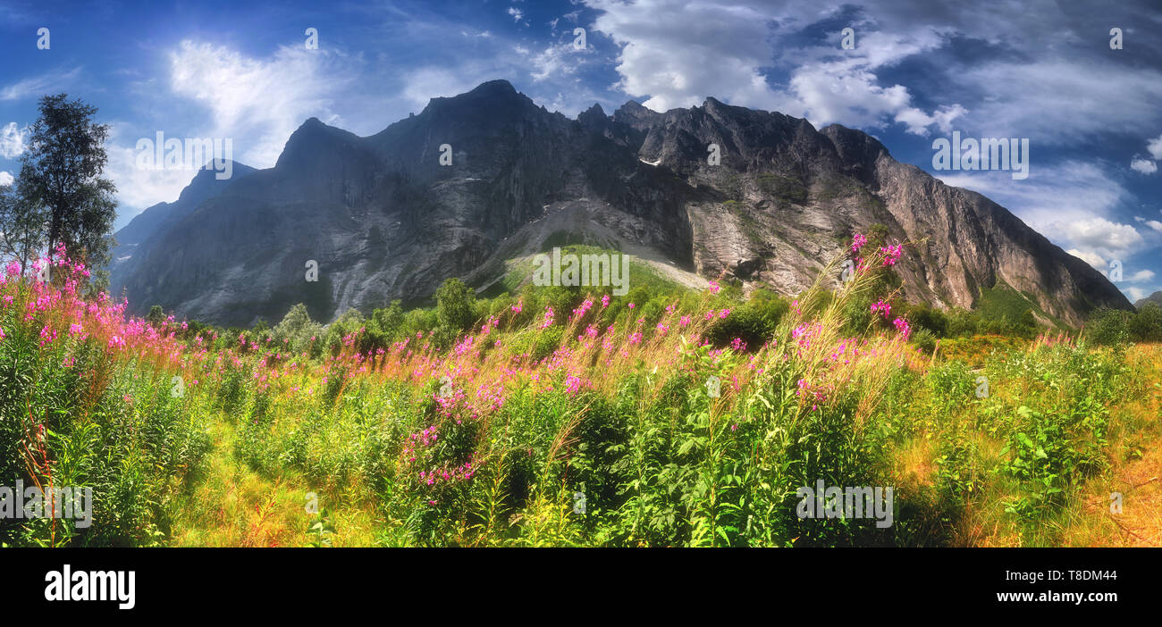Blick auf Trollveggen, Troll Mauer, Europäischen höchsten senkrechten und überhängenden Felswand, 1000 Meter. Norwegen. Blühende Sally. Stockfoto Blick auf Trollveggen, Troll Mauer, Europäischen höchsten senkrechten und überhängenden Felswand, 1000 Meter. Norwegen. Blühende Sally. Stockfoto