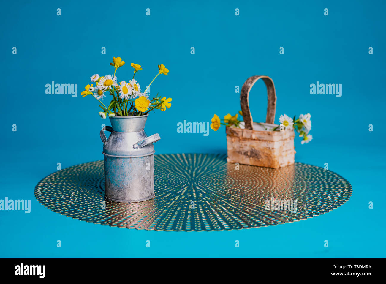 Haarige buttercup und Prairie fleabane Wildblumen in einer Miniatur Milch kann und Korb. Das Sitzen auf einer Unterlage gegen eine hellblaue Hintergrund. Stockfoto