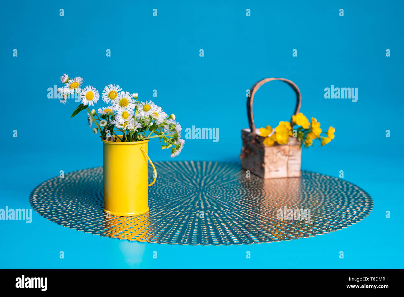 Prairie fleabane Wildblumen in einem kleinen gelben Zylinder Vase. Haarige buttercup Blumen liegen in einem kleinen Korb auf einem TISCHSET. Teal Blue blackground. Stockfoto