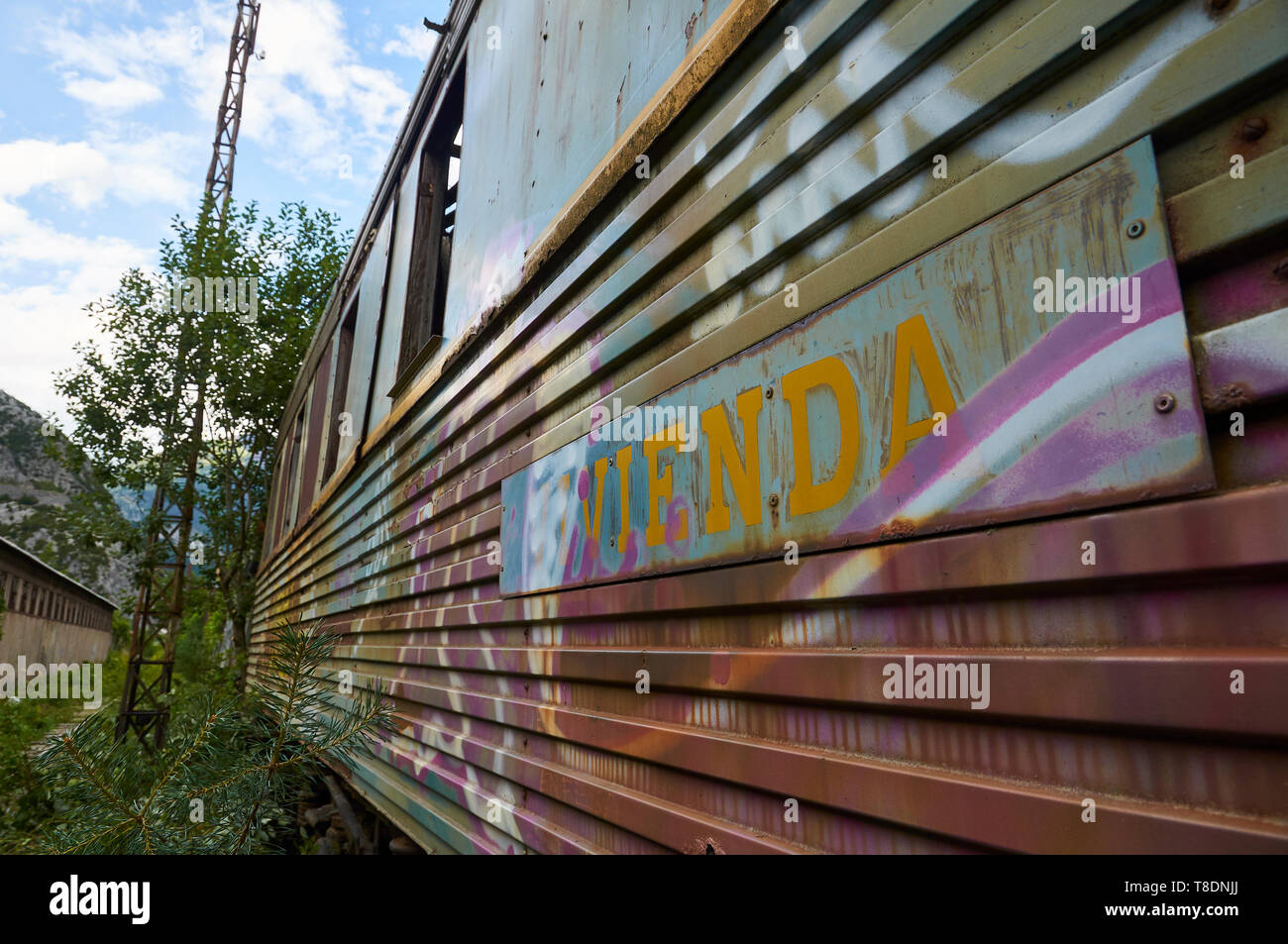 Detail der Schlafwagen der Bahn mit Graffiti bedeckt an den verlassenen Canfranc International Railway Station (Canfranc, Pyrenäen, Huesca, Aragón, Spanien) Stockfoto