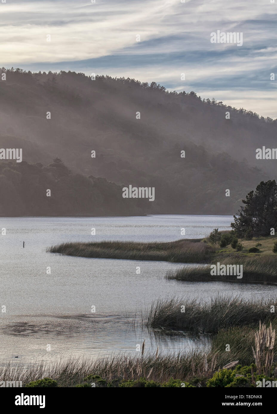 Crystal Springs Reservoir, San Mateo County Stockfoto