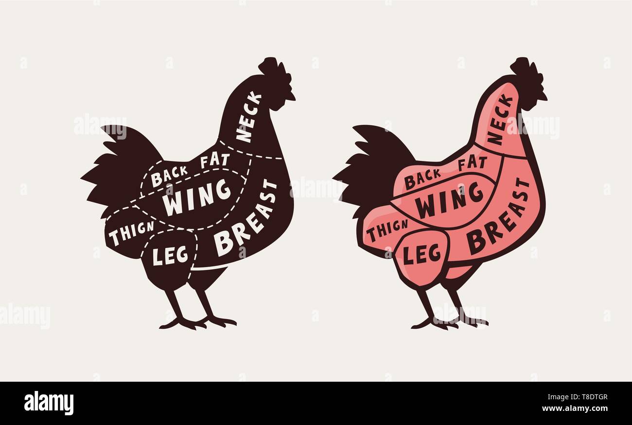 Schneiden von Fleisch, Huhn. Plakat Metzger schema und schema, Vector Illustration Stock Vektor