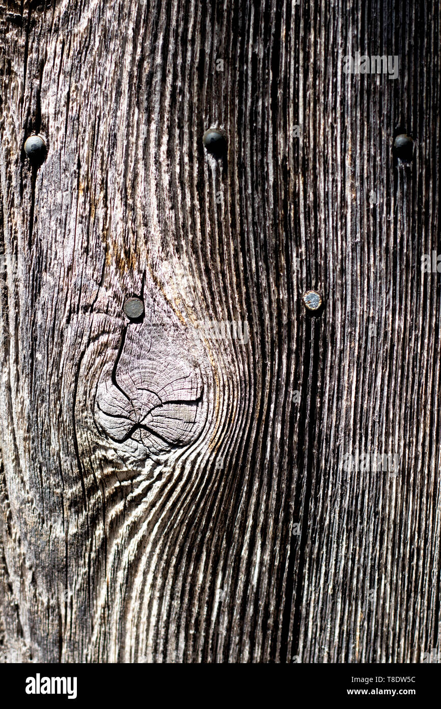 Holzmaserung Textur Stockfoto