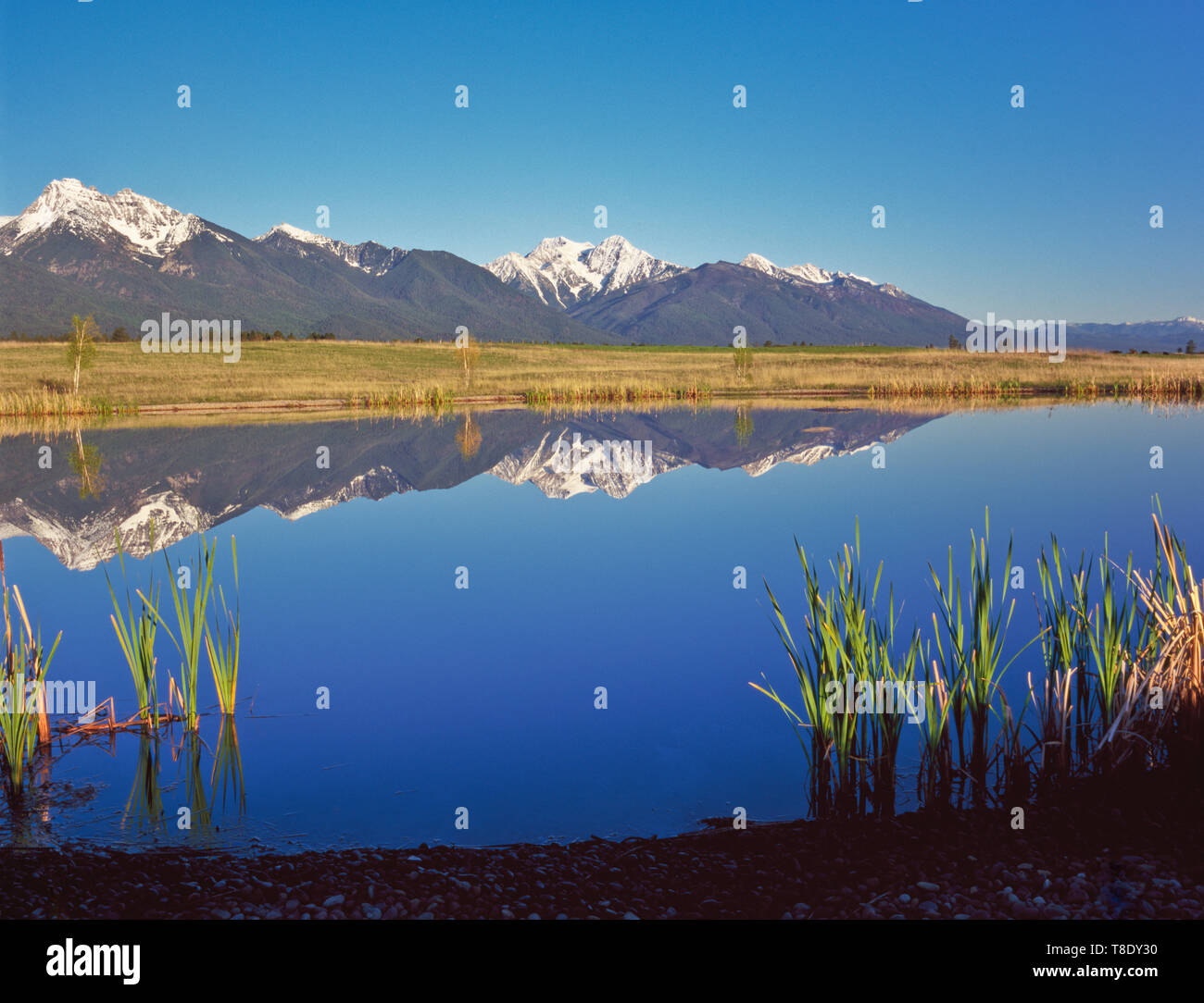 Mission Bergen in einem Teich im Mission Valley in der Nähe von Ronan wider, Montana Stockfoto