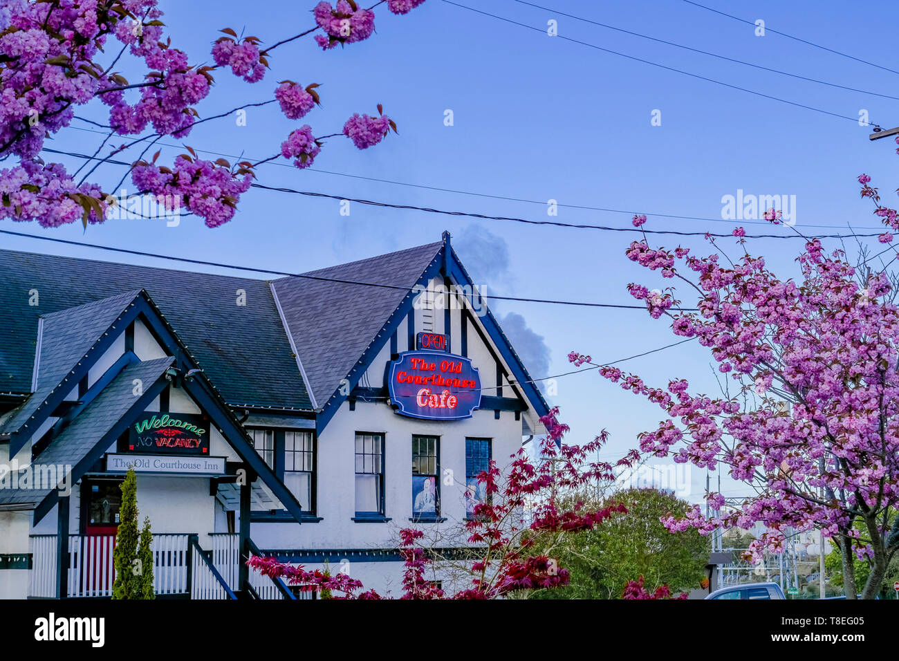 Old Courthouse Inn, Cafe, Powell River, Sunshine Coast, British Columbia, Kanada Stockfoto
