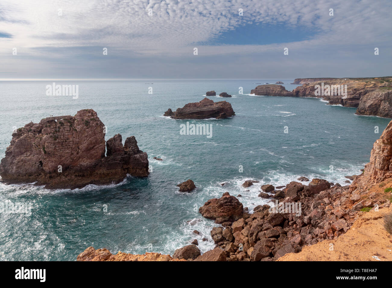 Zwei Weißstörche (Ciconia ciconia) auf einem Felsen im Meer im Naturpark der Costa Vicentina an der Atlantik an der Algarve, Portugal. Stockfoto