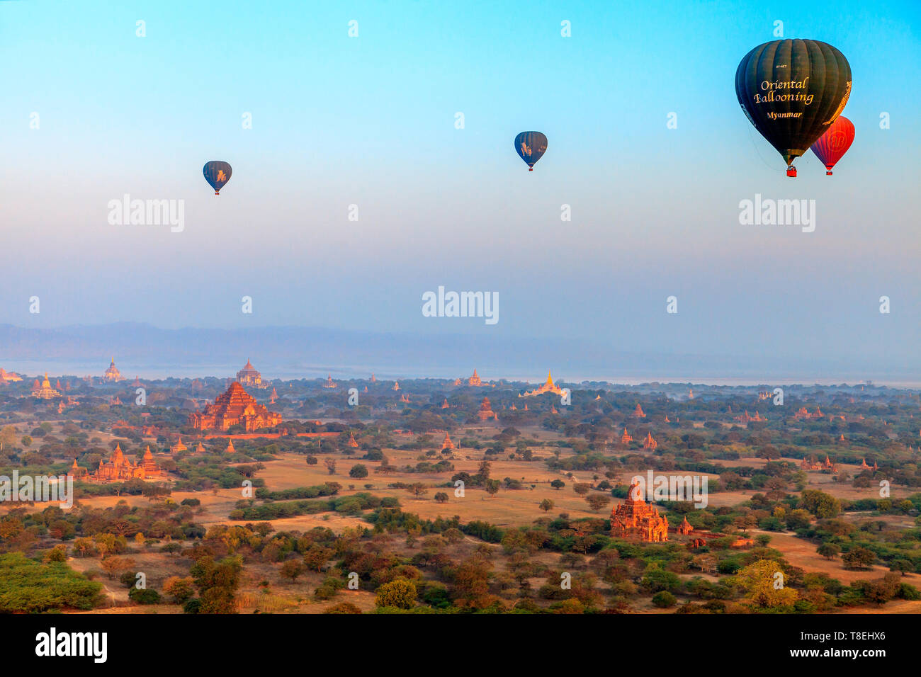 Blick von einem Heißluftballon in Bagan am frühen Morgen (Myanmar) Stockfoto