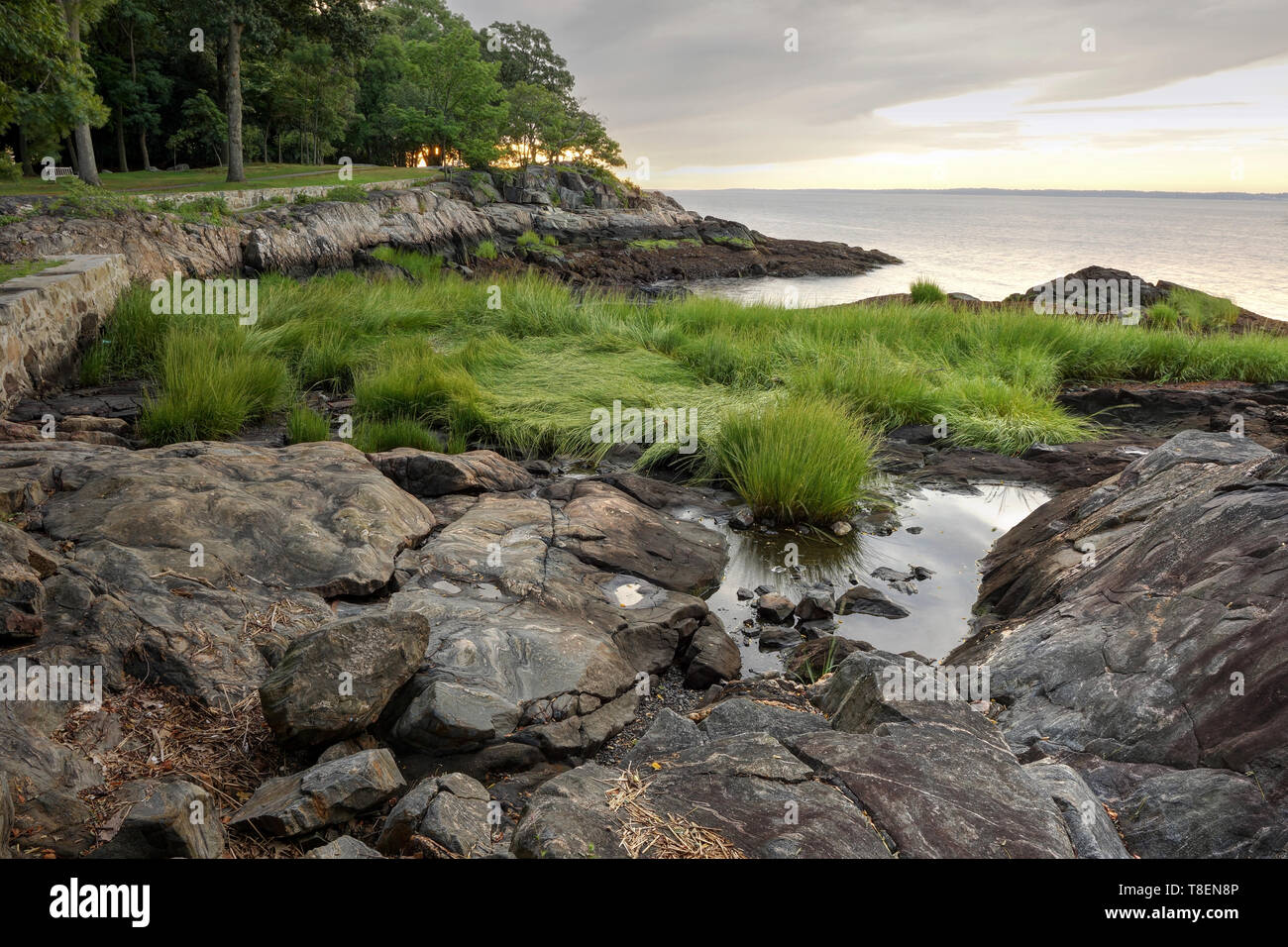 Sonnenaufgang in Larchmont Manor Park Stockfoto