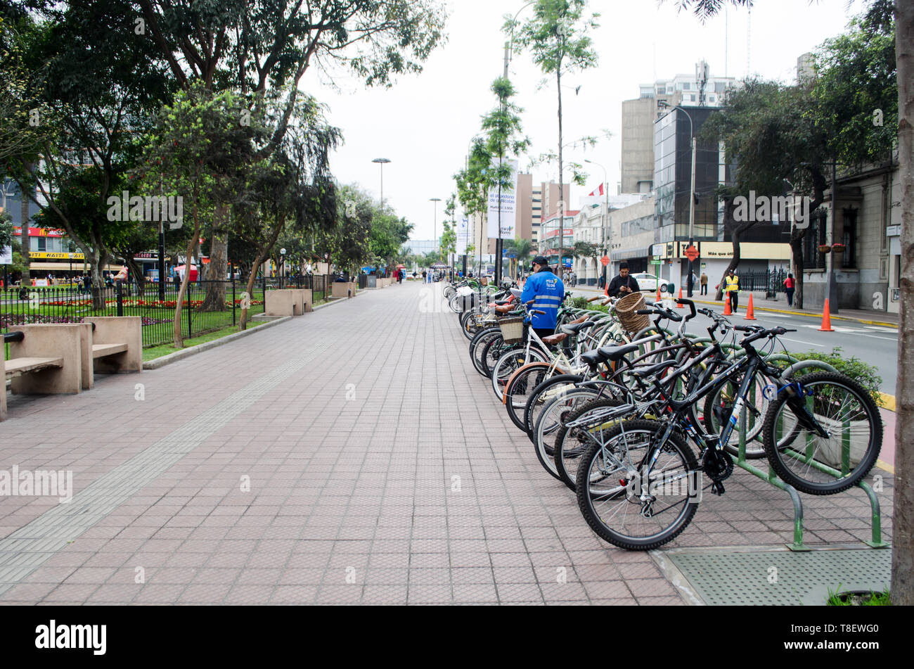 Das Kennedy Park im Stadtteil Miraflores. Viele Katzen leben in es. Stockfoto Das Kennedy Park im Stadtteil Miraflores. Viele Katzen leben in es. Stockfoto