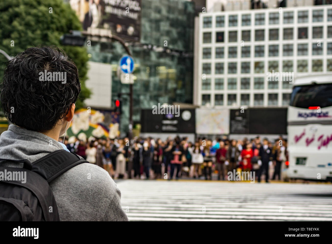 Tokyo, Japan - 31. Oktober 2013: Menschen warten auf die Straße an der Kreuzung zu überqueren, Shibuya jagt Stockfoto