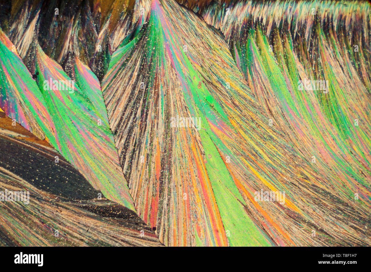 Koffein photomicrograph, polarisiertes Licht, heiß Folie Vorbereitung schmelzen. Stockfoto