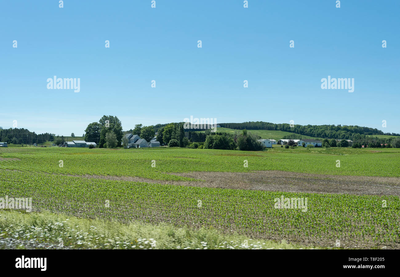 Anzeigen von Trans-Canada Highway 2 von Quebec City zu Moncton von hinter dem Fahrersitz gesehen. Stockfoto