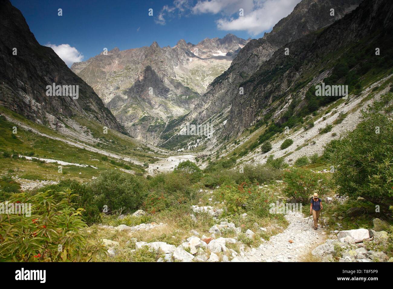 Frankreich, Isère, Valjouffrey, Nationalpark Ecrins, weibliche Wanderer in der Schriftart Turbat Tal Stockfoto