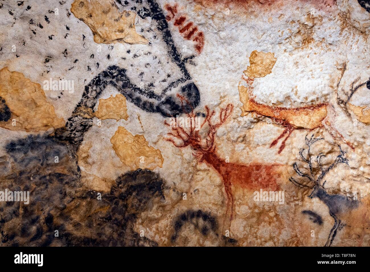 Frankreich, Dordogne, Périgord Noir, Vezere Tal, prähistorische Stätte und eingerichteten Höhle Welterbe der UNESCO, Montignac-sur-Vezere, Höhle von Lascaux IV, Internationales Zentrum der Parietalen Kunst, faksimile Showroom Stockfoto