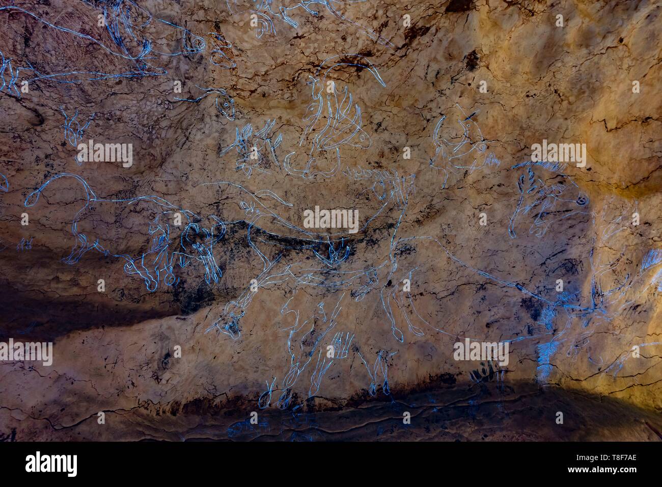 Frankreich, Dordogne, Périgord Noir, Vezere Tal, prähistorische Stätte und eingerichteten Höhle Welterbe der UNESCO, Montignac-sur-Vezere, Höhle von Lascaux IV, Internationales Zentrum der Parietalen Kunst, faksimile Showroom Stockfoto