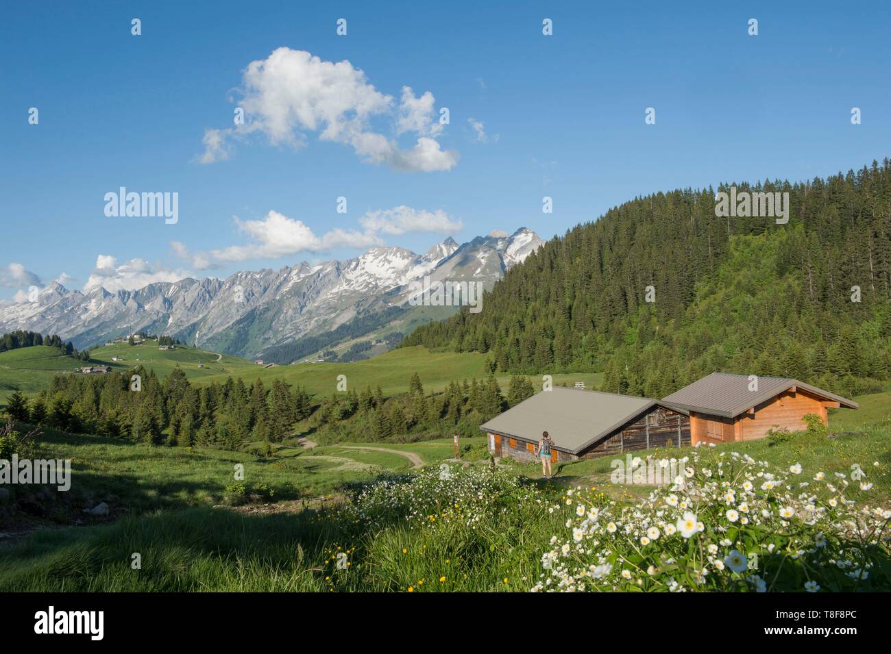 Frankreich, Haute Savoie, La Clusaz, Manigod, Braten Kreuz vorbei, überqueren die Colomban Kreuz (1691 m) auf dem Beauregard Plateau, Colomban chalet Stockfoto