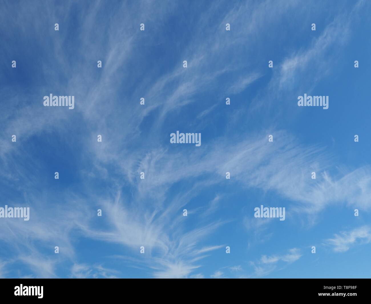 Weiß Wispy Cirrus Wolken bilden hübsche Muster, die in den blauen Himmel Stockfoto