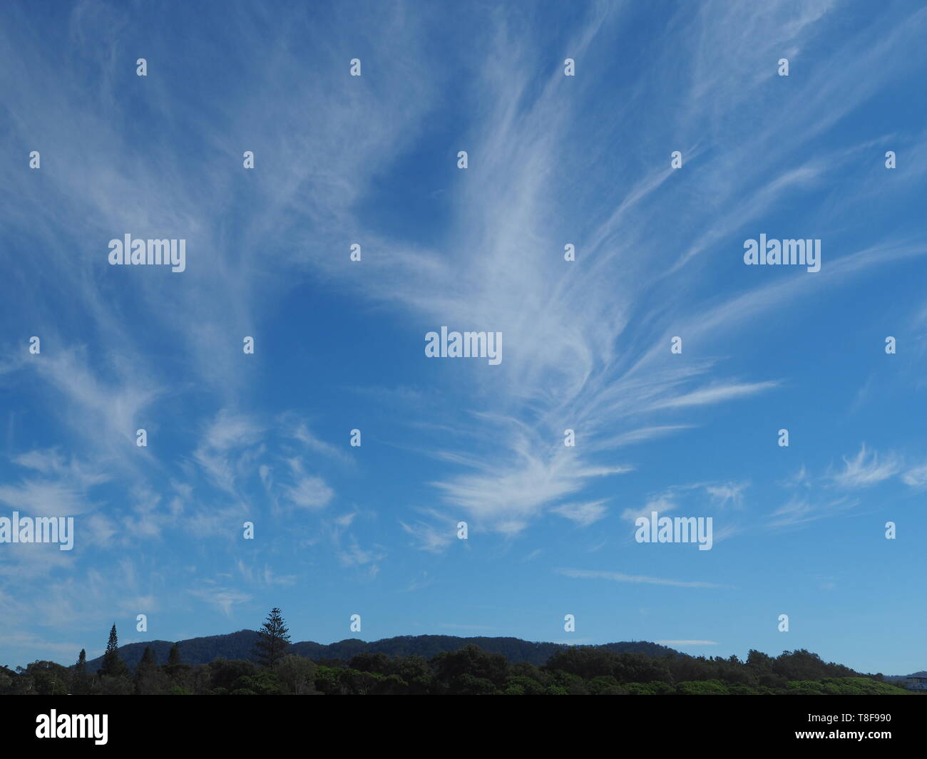 Weiß Wispy Cirrus Wolken bilden hübsche Muster, die in den blauen Himmel Stockfoto